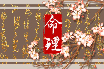 万年历黄历查询|2026年老黄历|2026年老黄历查询|今天黄历是什么日子|老黄历吉日吉时查询|明天日子好不好老黄历查询